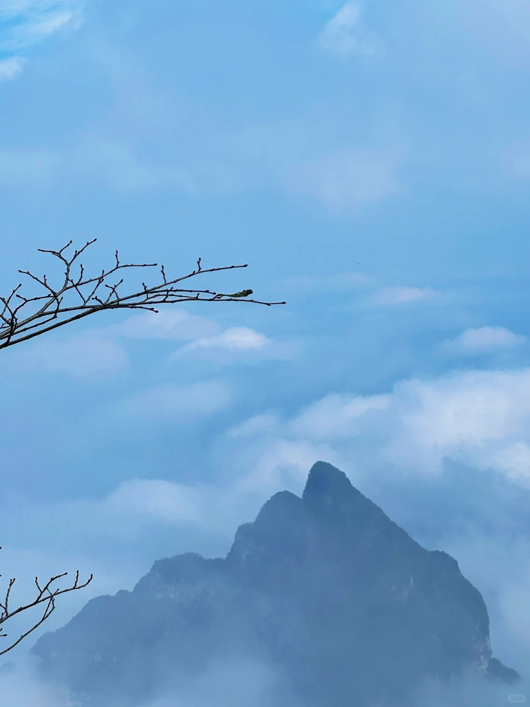 张家界七星山竟然不堵！！