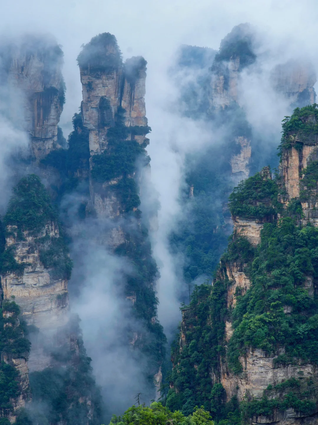 张家界刚回，美疯了！！难怪韩国人超爱🙌🏻‼️