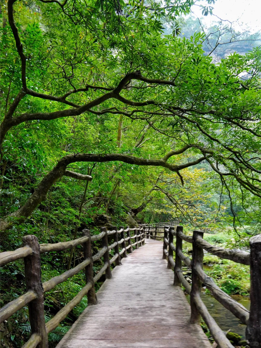 强推淡季的张家界‼️附攻略地图