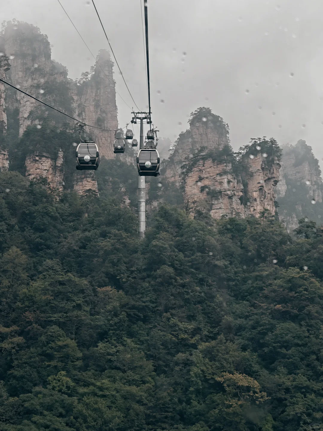 来到张家界好像掉进了神仙的取景地哇🎬