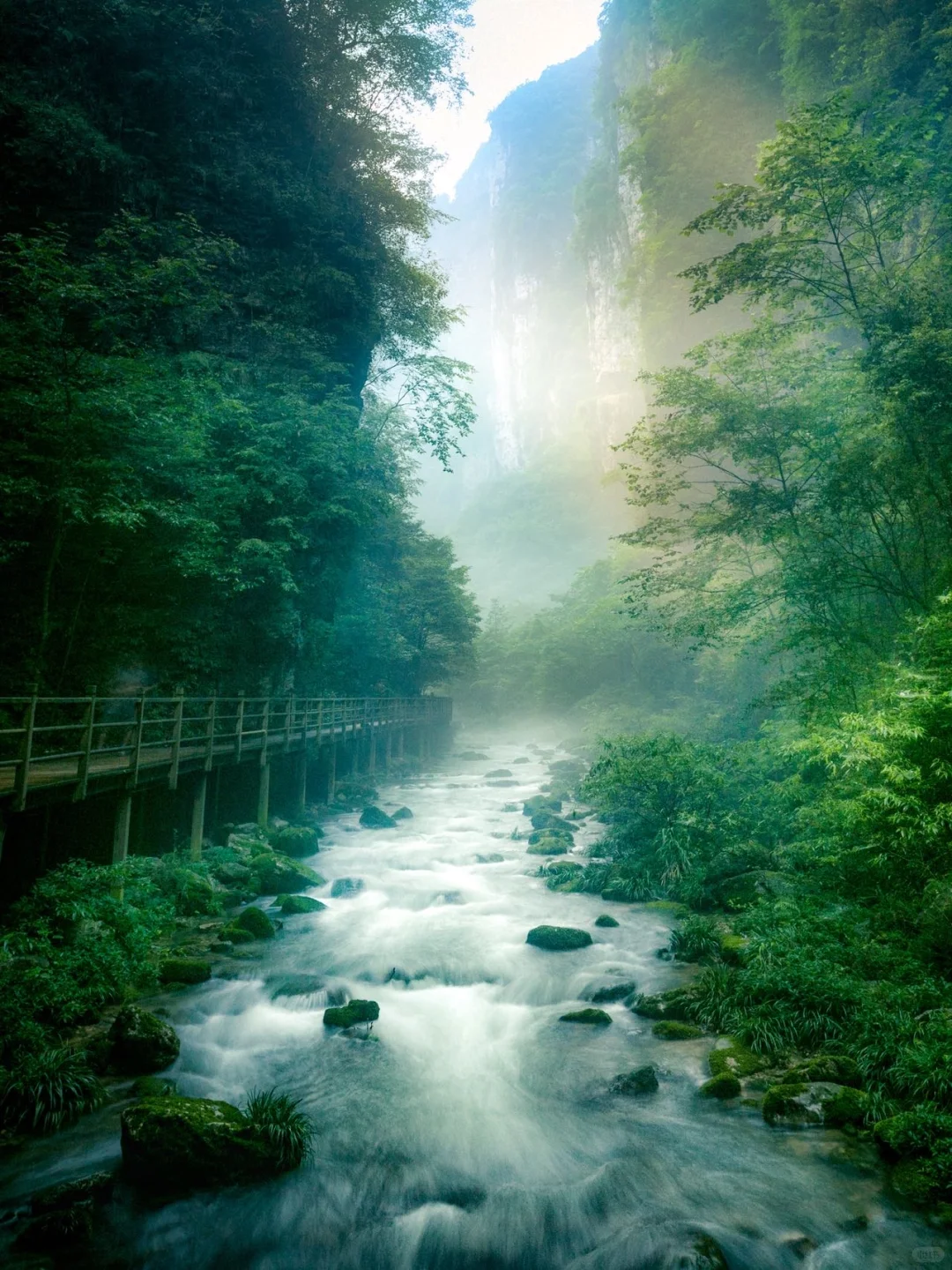 张家界刚回，能劝一个是一个❗坚决不删❗😂