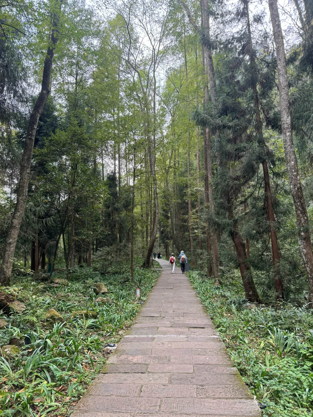 南国之旅9: 湖南张家界