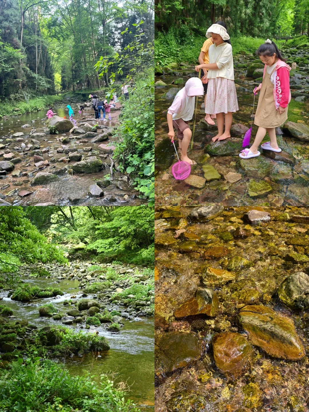 二刷张家界刚回，攻略和避雷总结如下