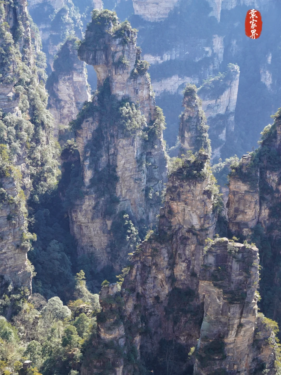 强推淡季的张家界‼️附攻略地图