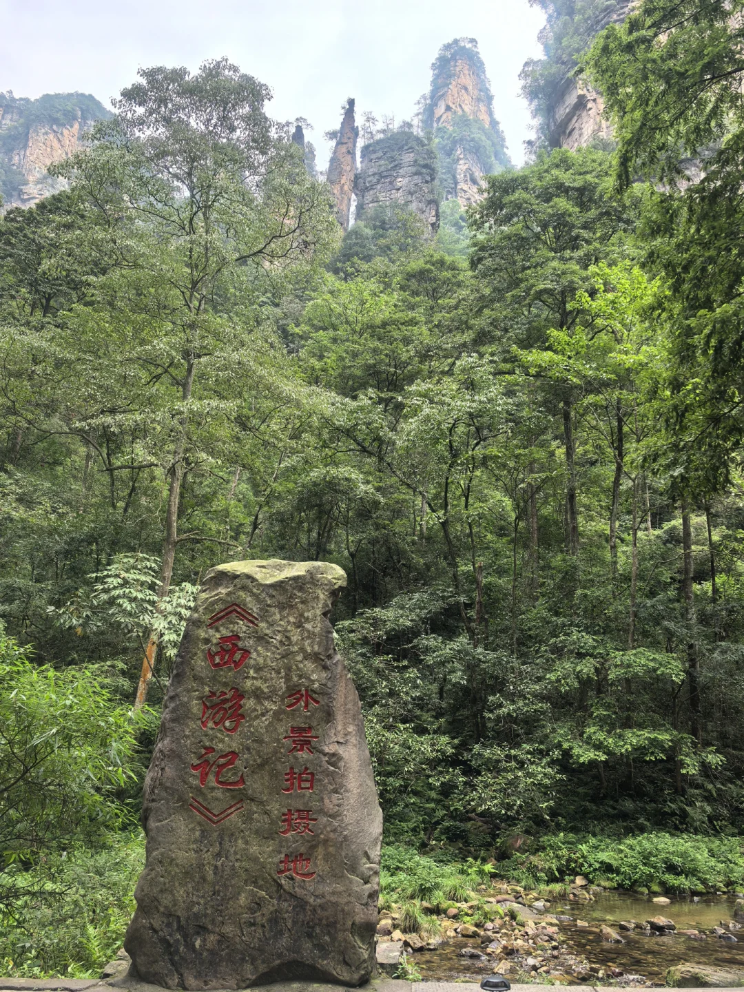 1️⃣适合带爸妈的张家界不费腿攻略