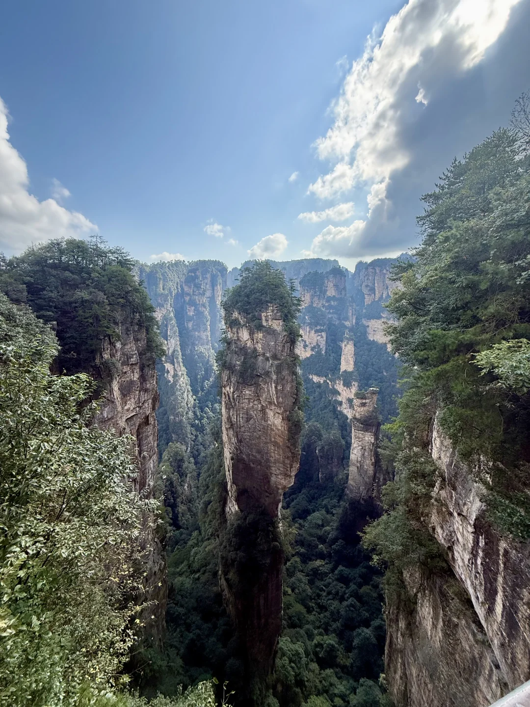 张家界⛰️交作业了！