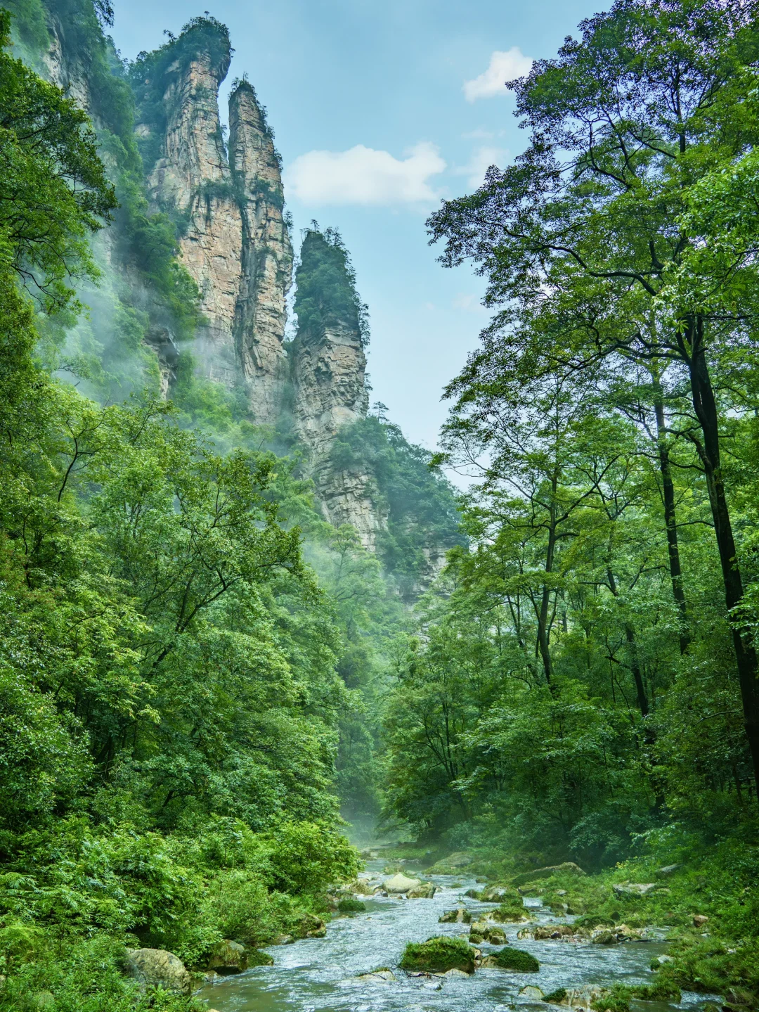 张家界‼️这么美你不宣传❓你糊涂啊😭