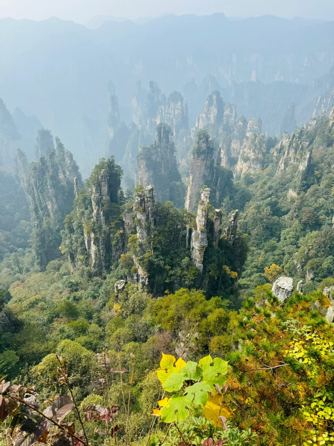 南国之旅9: 湖南张家界