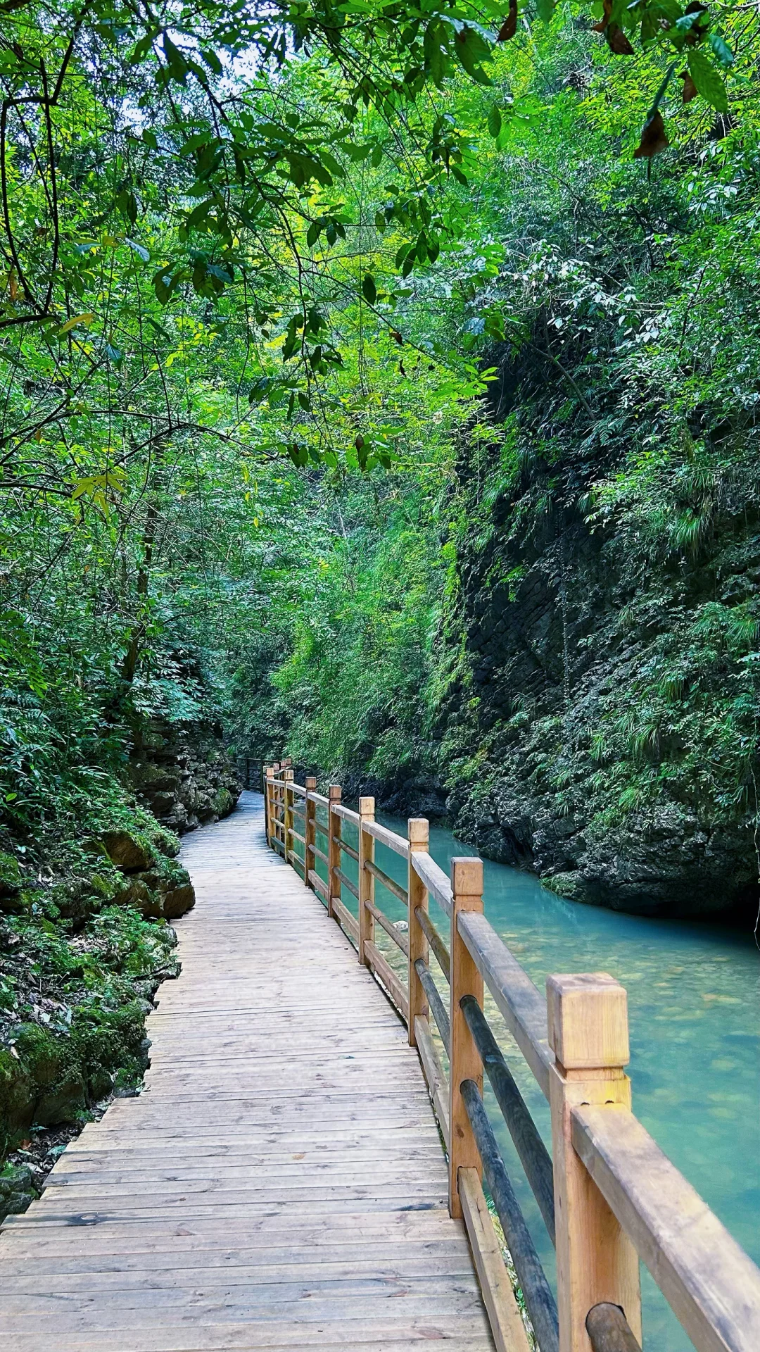 📍𝐙𝐡𝐚𝐧𝐠 𝐉𝐢𝐚 𝐉𝐢𝐞 · 大峡谷