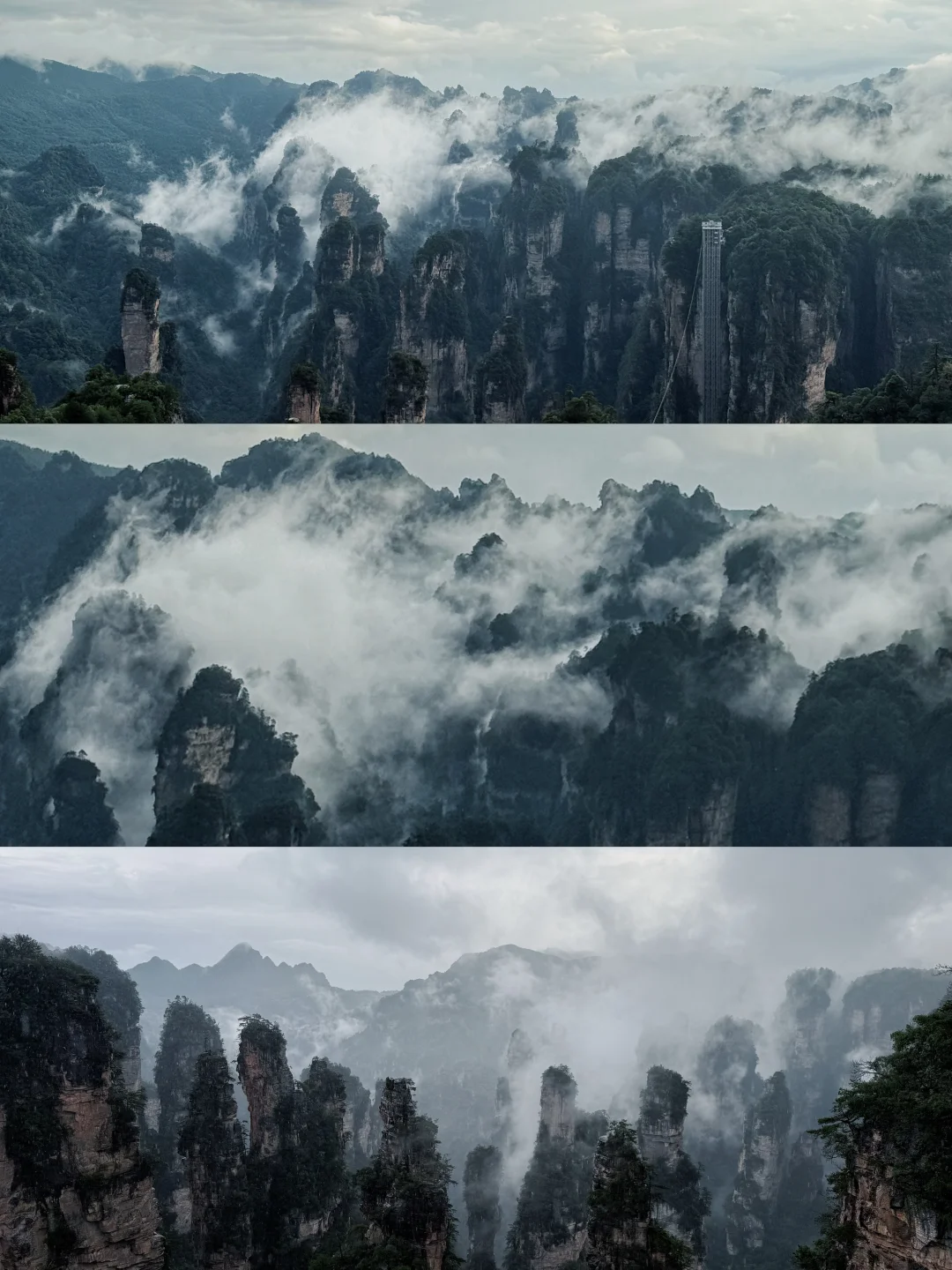 张家界森林公园超详细攻略！门票游玩全说明