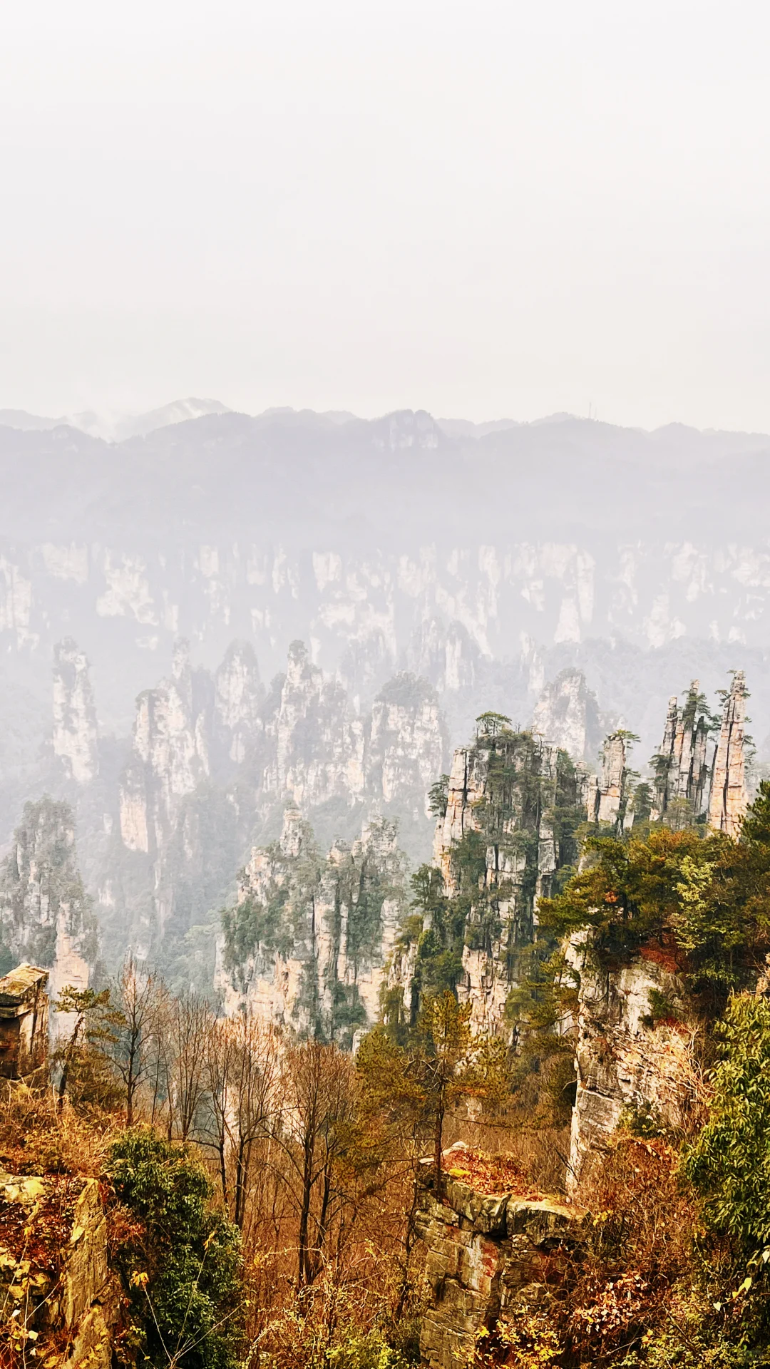 12月份的张家界国家森林公园