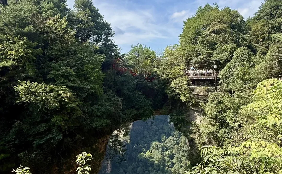 张家界⛰️交作业了！