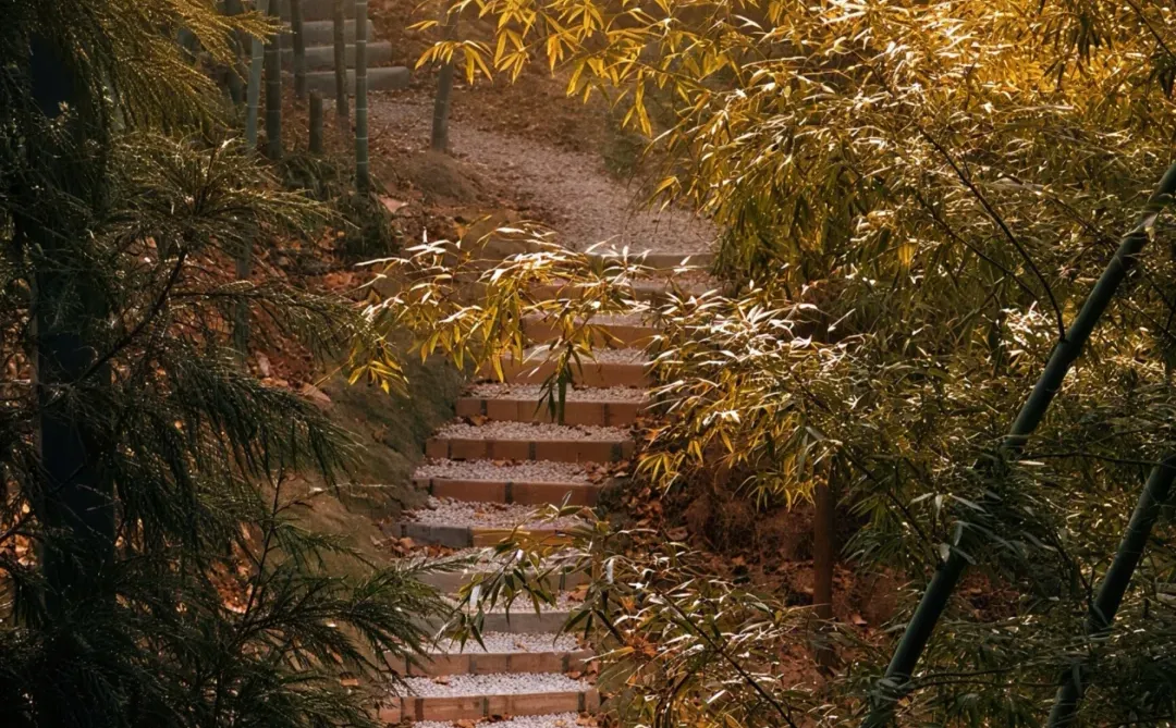 张家界天门山对面