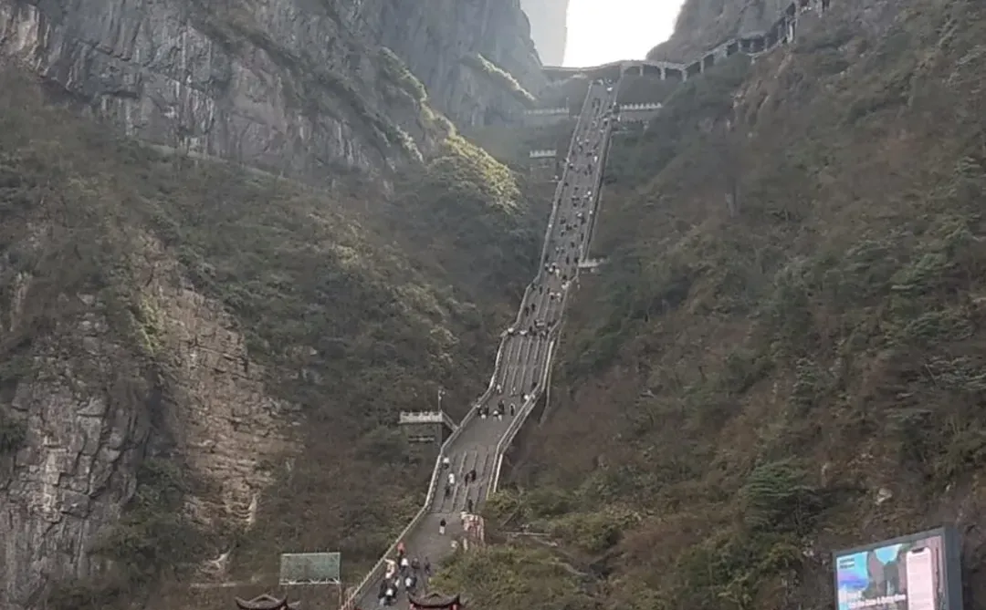 张家界自由行 | 12.11日 景区实况播报