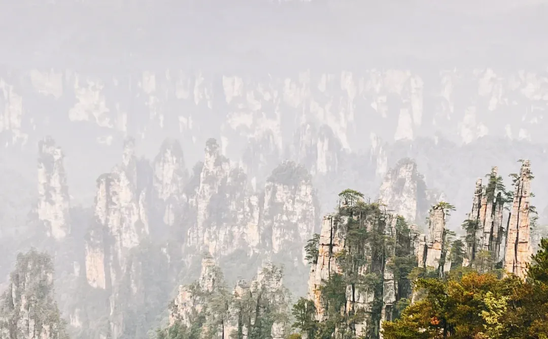 12月份的张家界国家森林公园