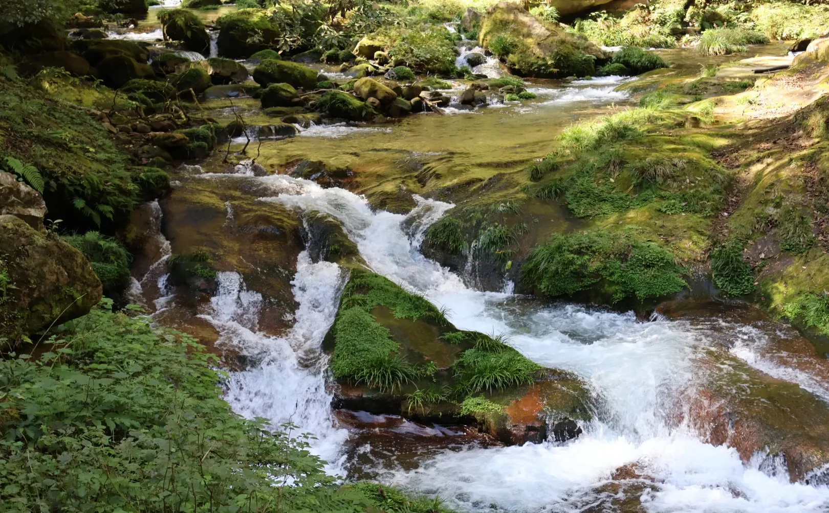 张家界国家森林公园游玩攻略