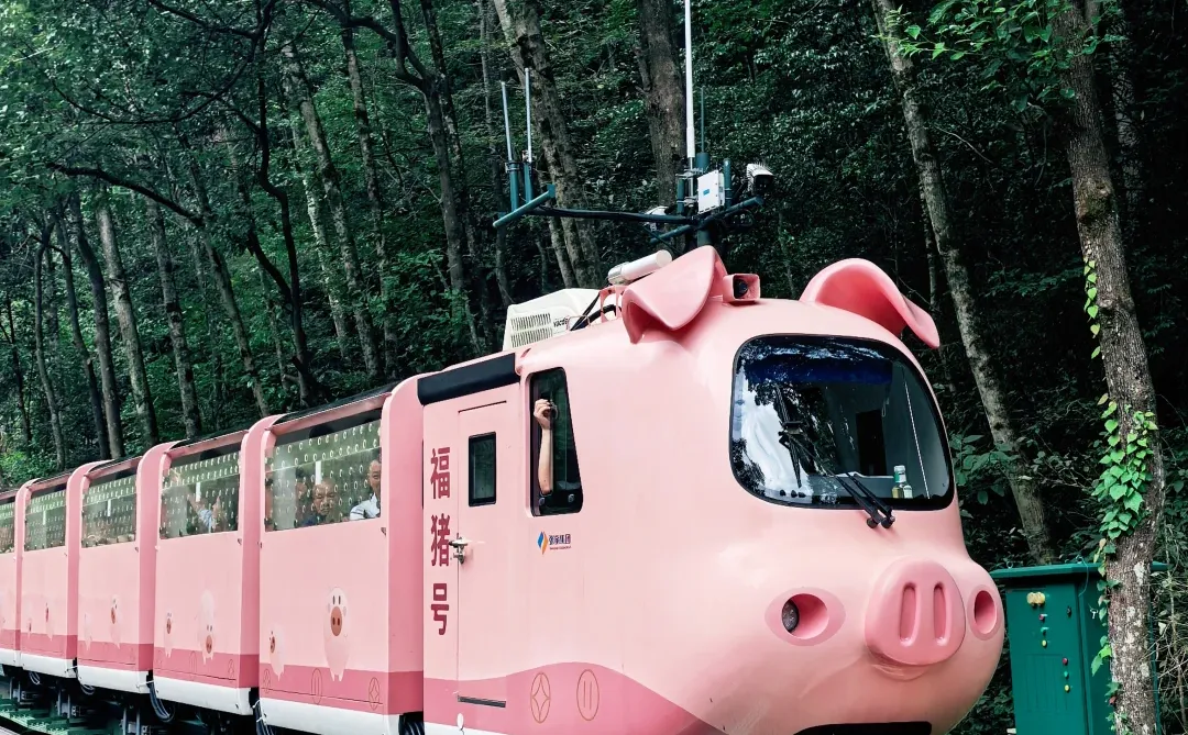 📍张家界 | 武陵源