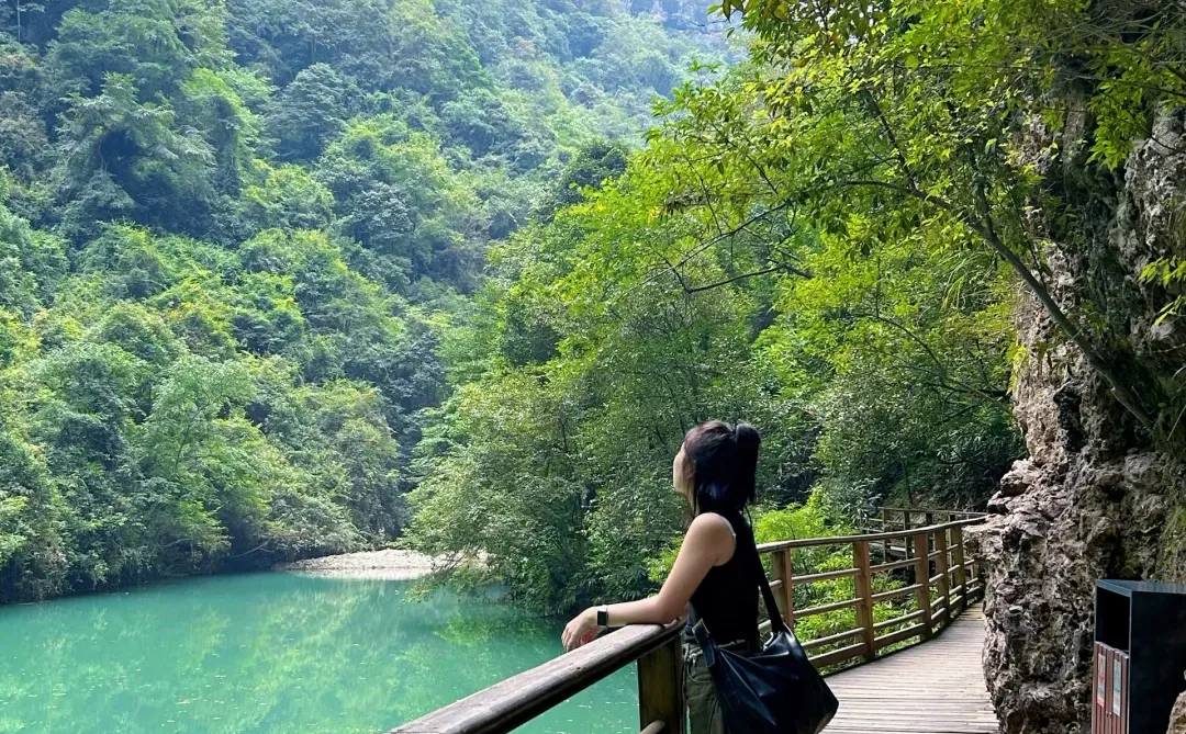 📍𝐙𝐡𝐚𝐧𝐠 𝐉𝐢𝐚 𝐉𝐢𝐞 · 大峡谷