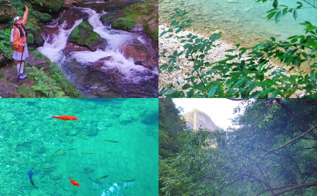 张家界刚回，再也不听小红书乱说了😭