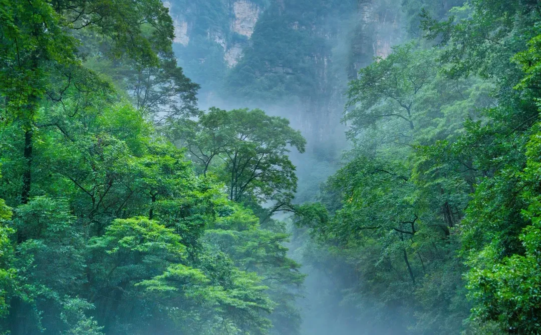 张家界‼️这么美你不宣传❓你糊涂啊😭