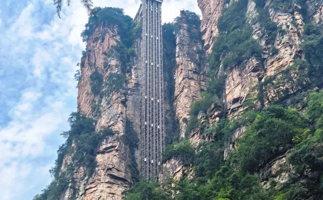 📍𝐙𝐡𝐚𝐧𝐠 𝐉𝐢𝐚 ?