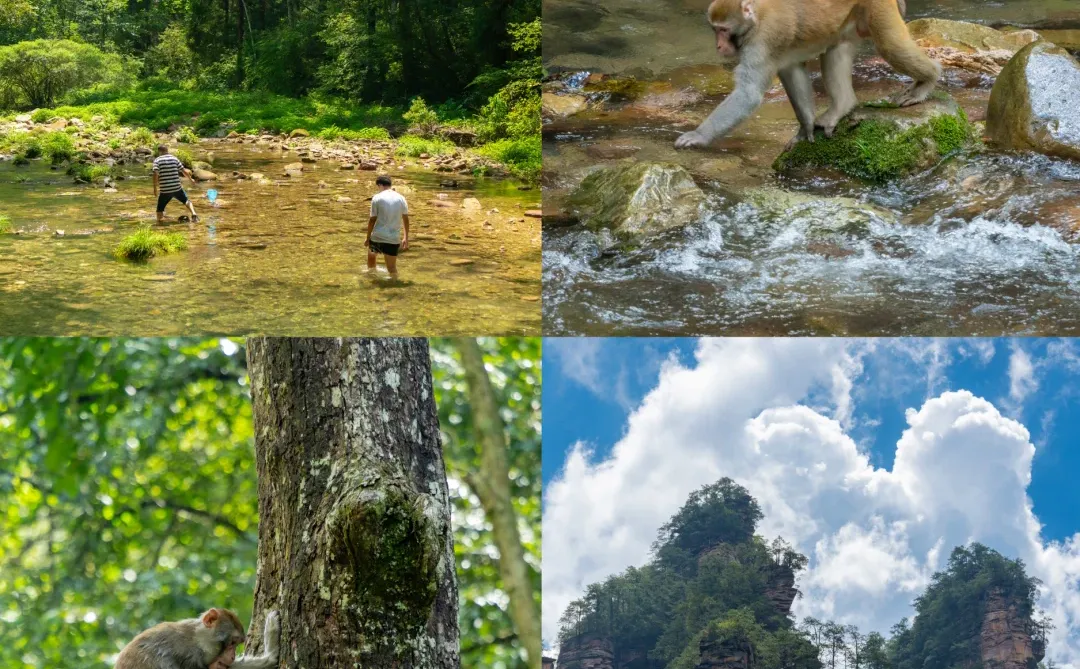 不愧是《国家地理》评为此生必去，真的绝‼️