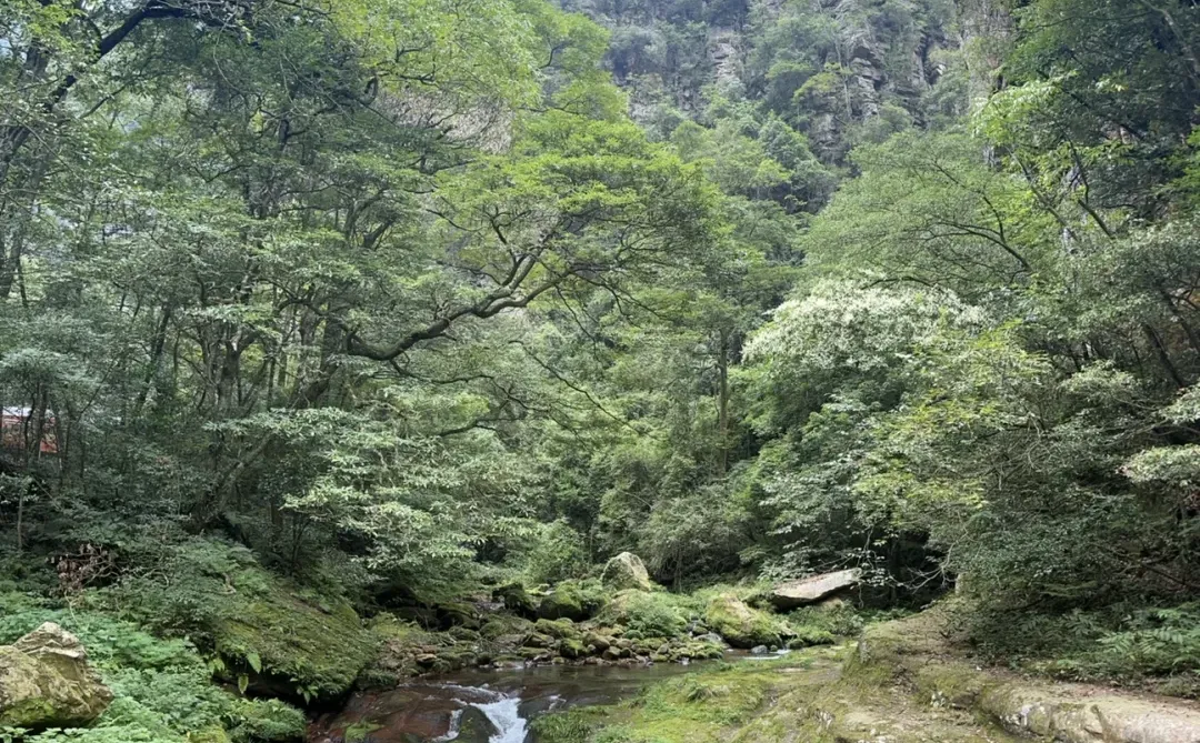 1️⃣适合带爸妈的张家界不费腿攻略