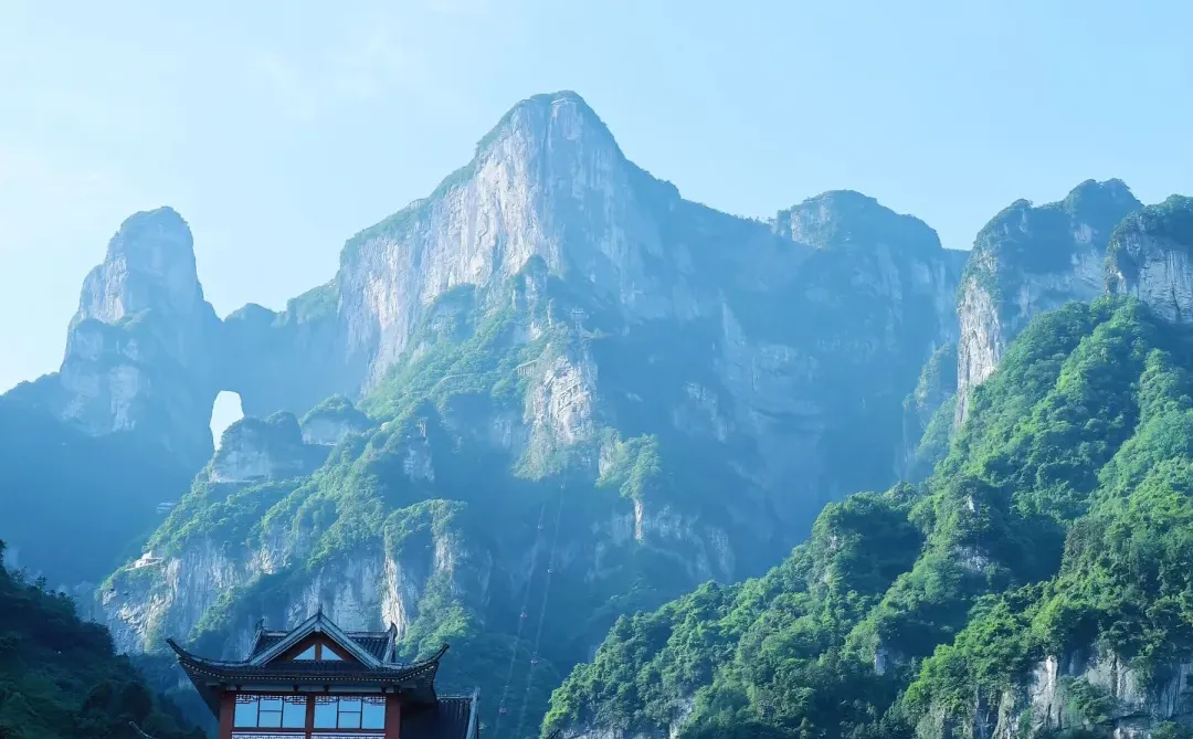 张家界已回（已被宰）内容很脏，但很真实！