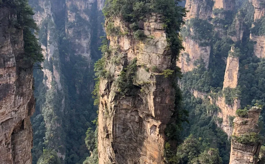 🌿闯入阿凡达星球！打卡张家界国家森林公园✨