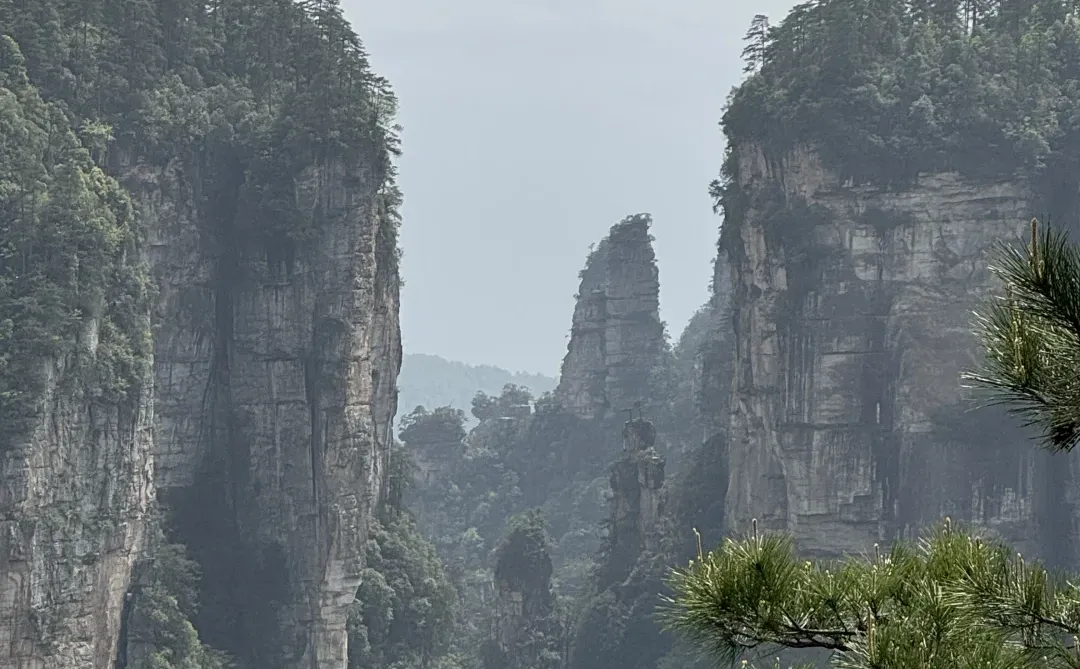 到底是谁在宣传张家界好玩啊，差评差评