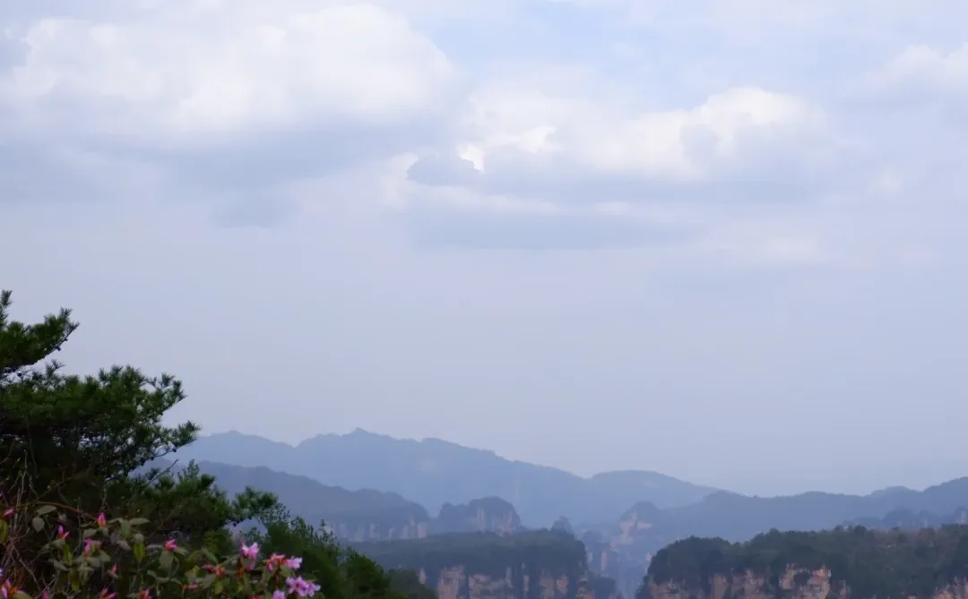 闯入阿凡达的潘多拉星球⛰️