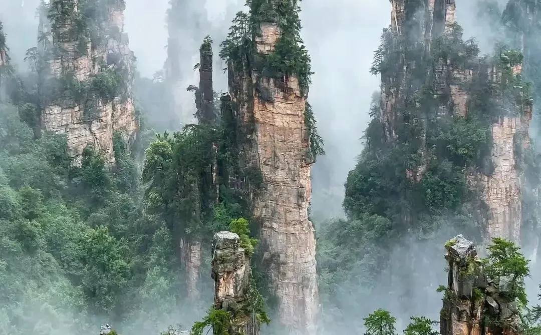 为什么韩国人这么喜欢张家界？