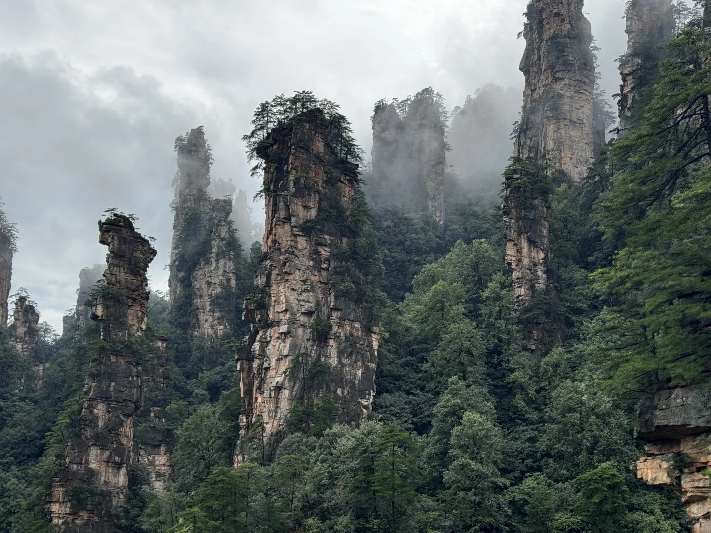 仙境之阿凡达故里