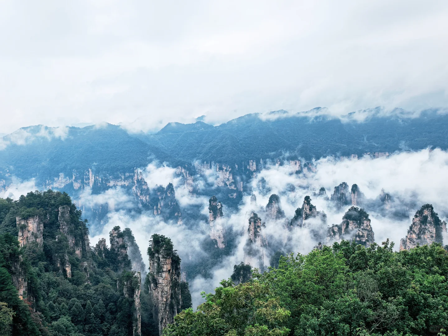 📍张家界 | 武陵源