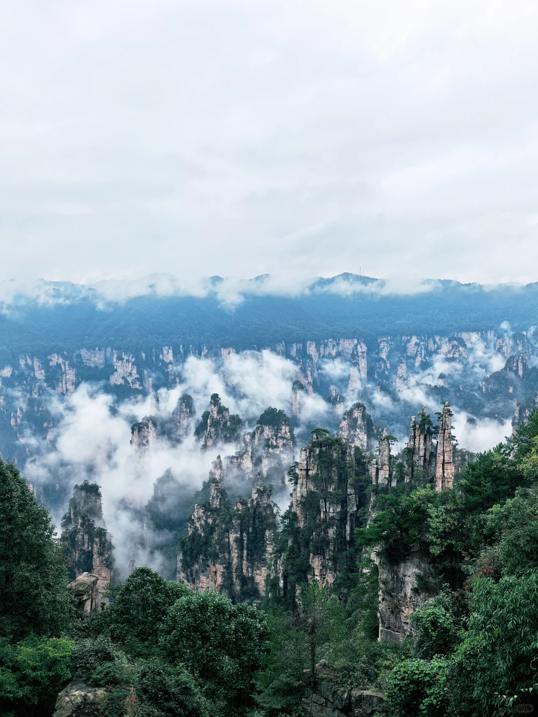 📍张家界 | 武陵源