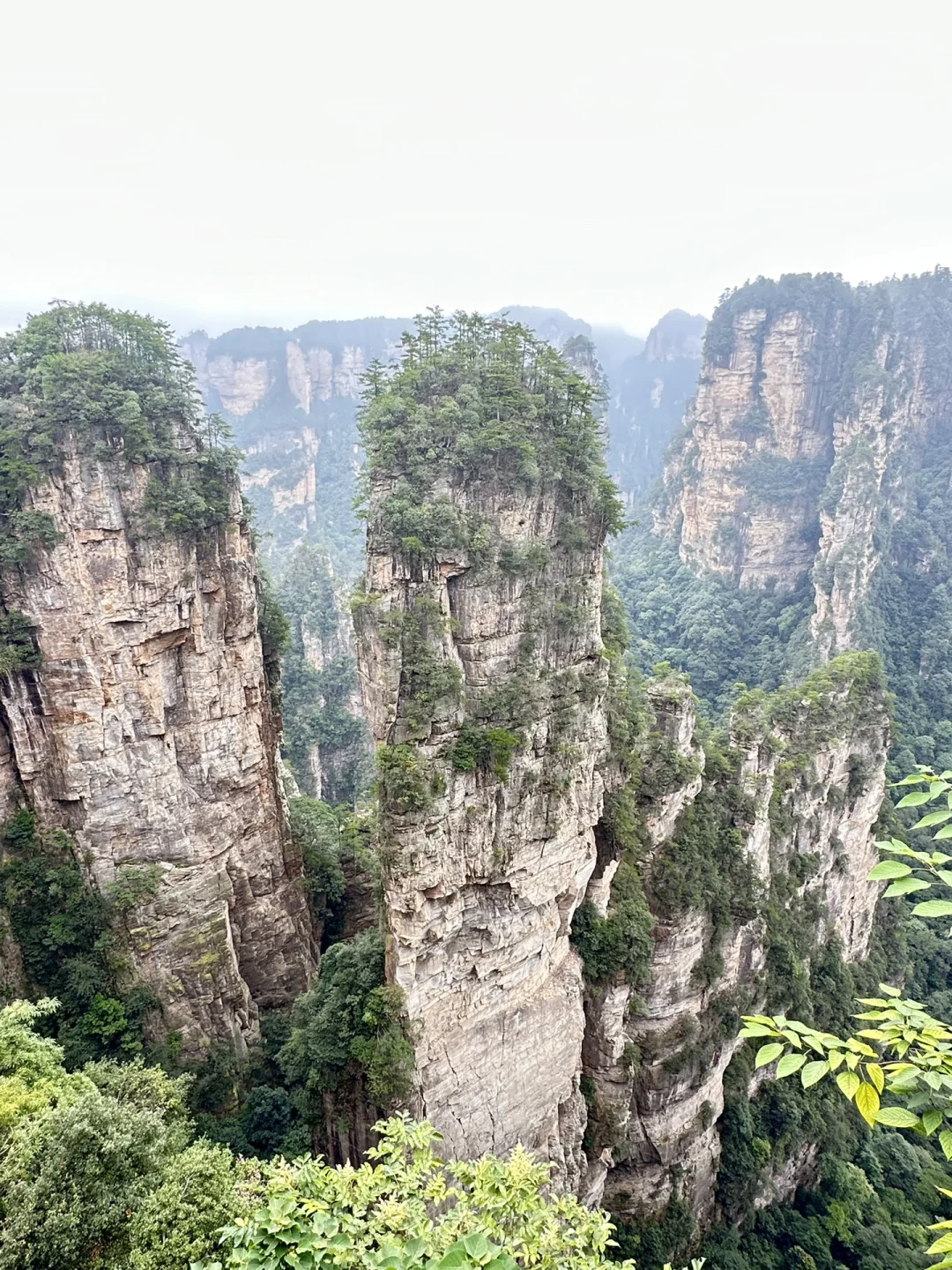 1️⃣适合带爸妈的张家界不费腿攻略