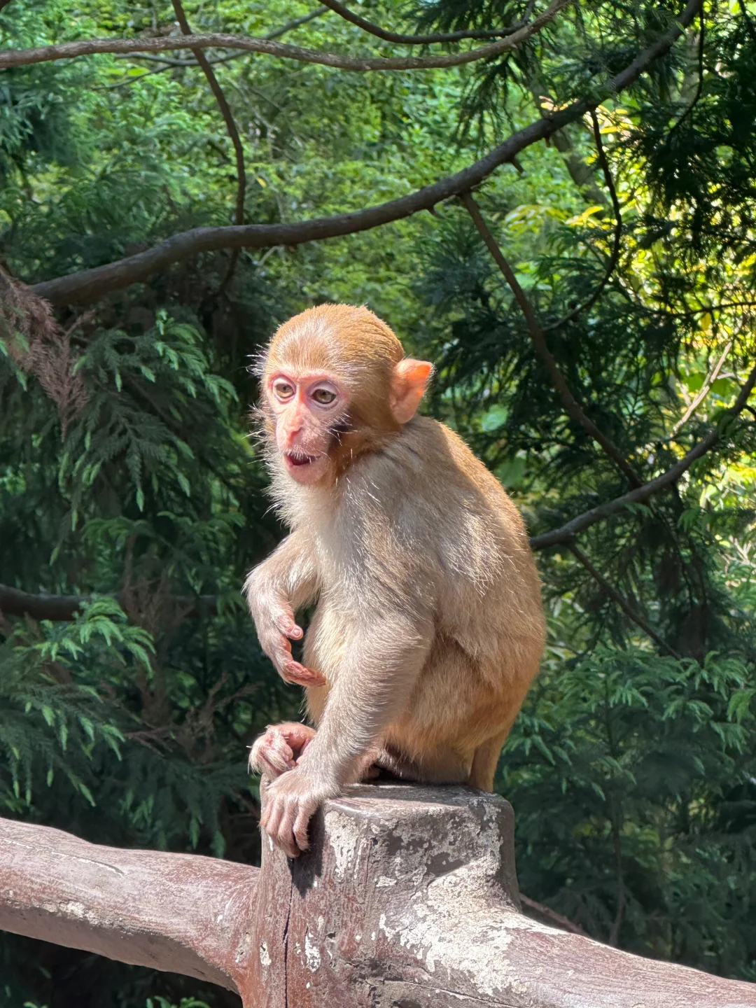 📍 𝐙𝐡𝐚𝐧𝐠 𝐣𝐢𝐚 𝐣𝐢𝐞