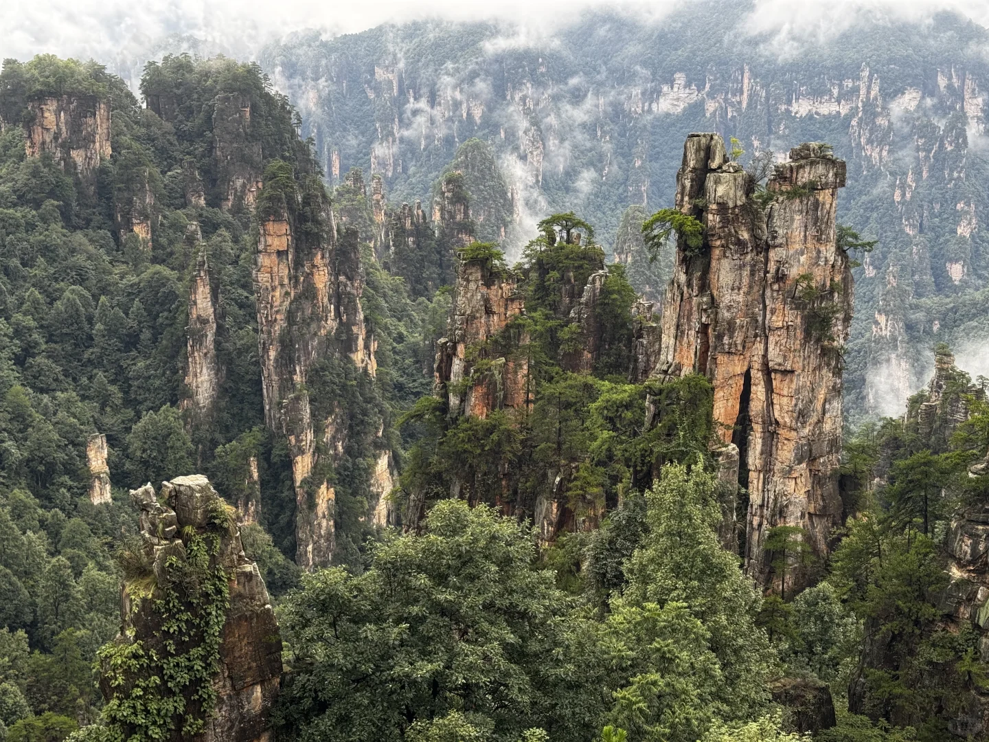 仙境之阿凡达故里