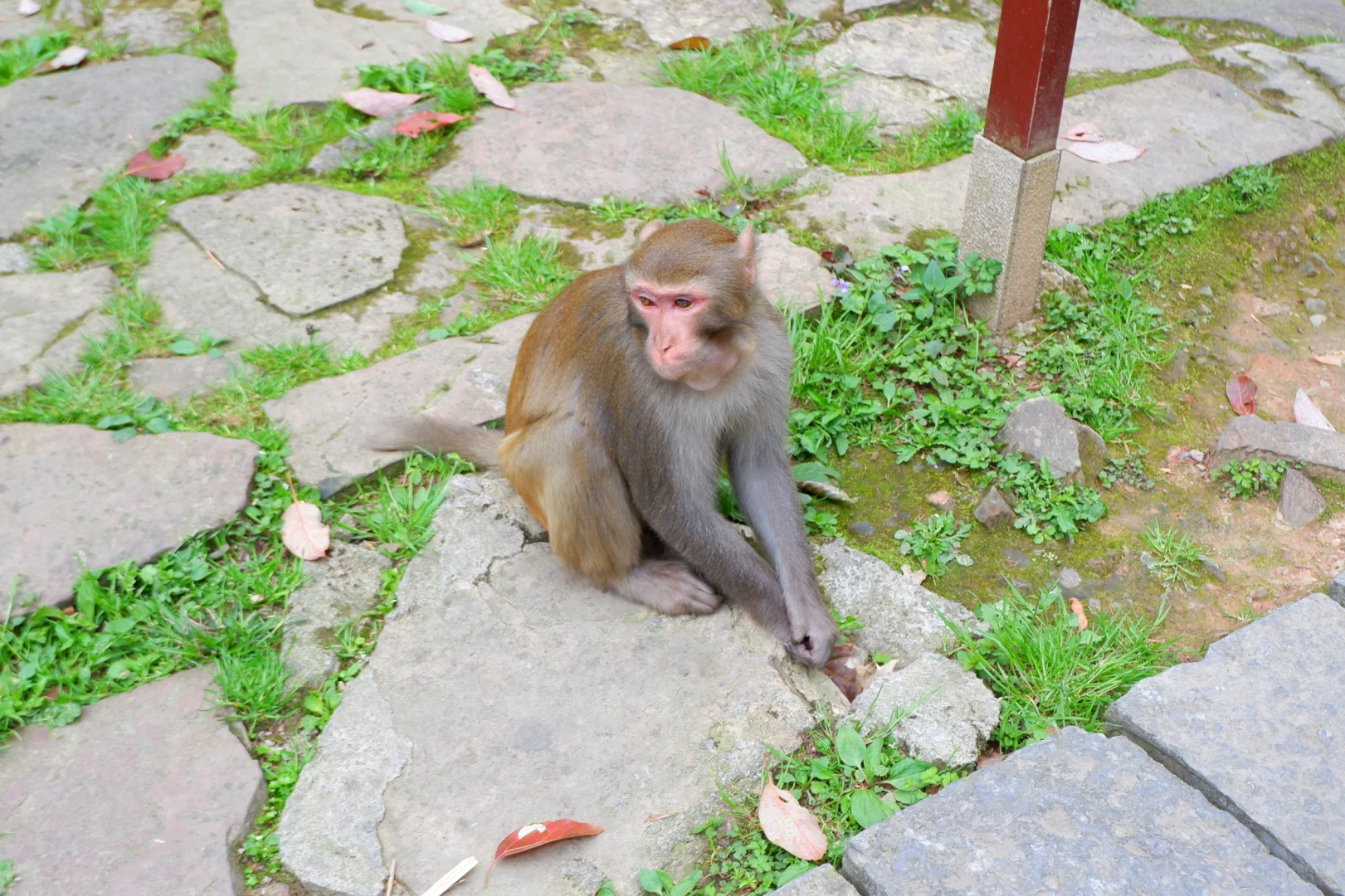 闯入阿凡达的潘多拉星球⛰️
