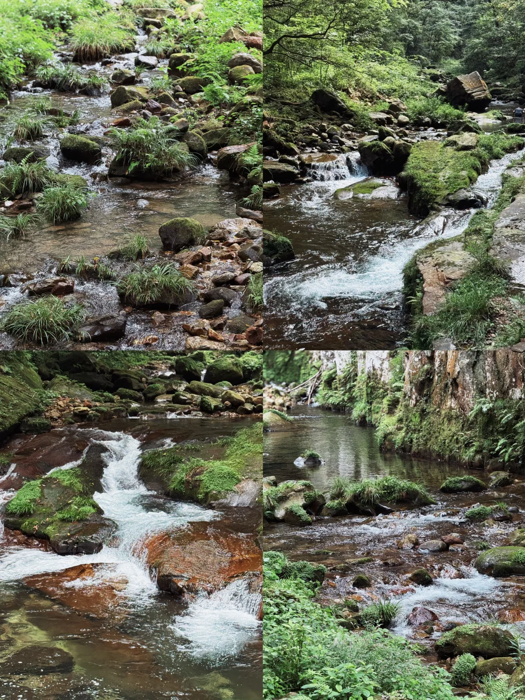 张家界森林公园超详细攻略！门票游玩全说明