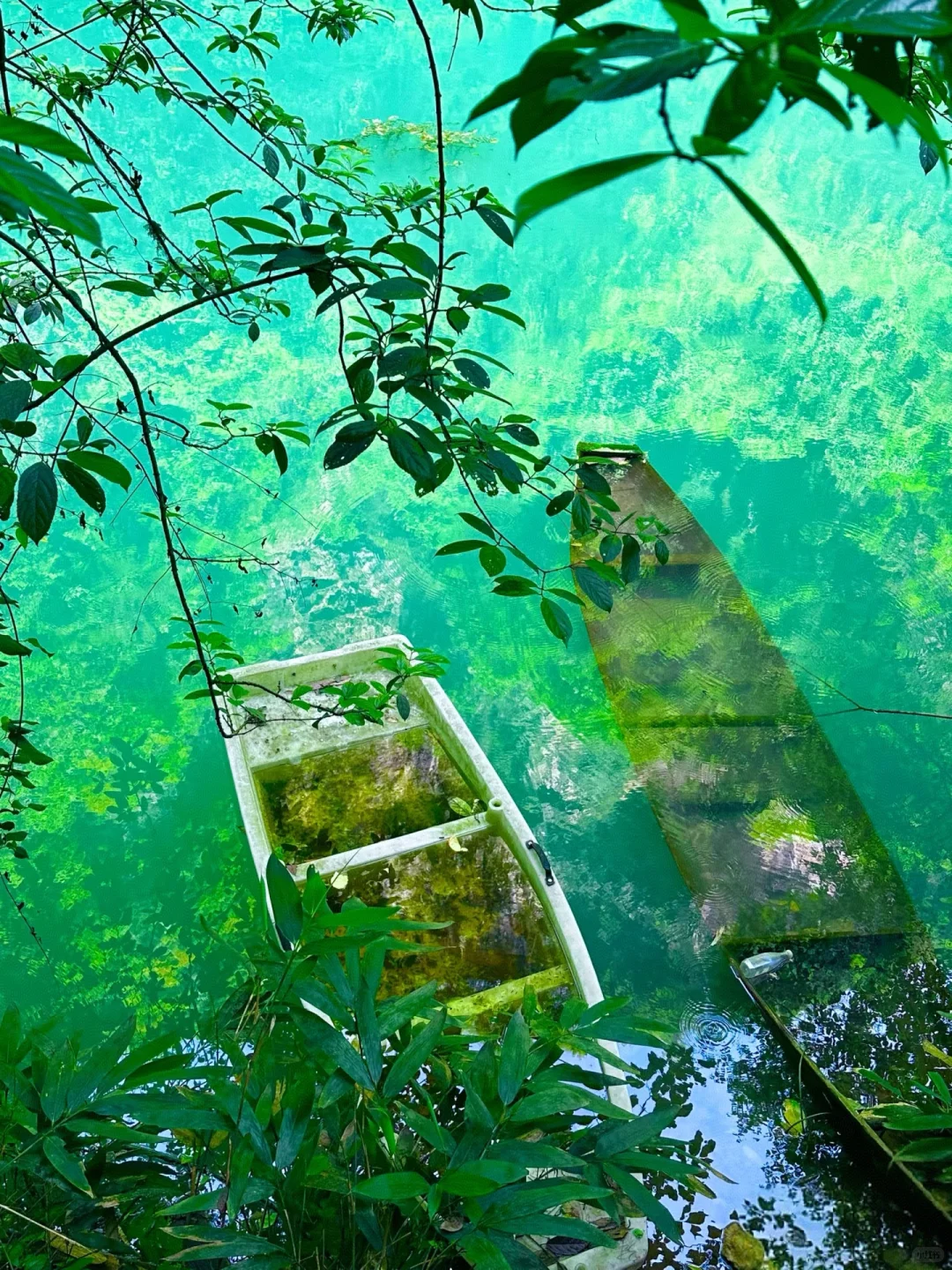 📍𝐙𝐡𝐚𝐧𝐠 𝐉𝐢𝐚 ?