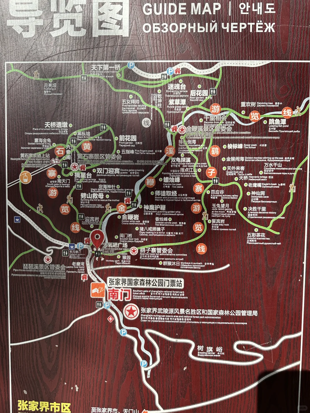 潘多拉星球我来了！💙💙💙