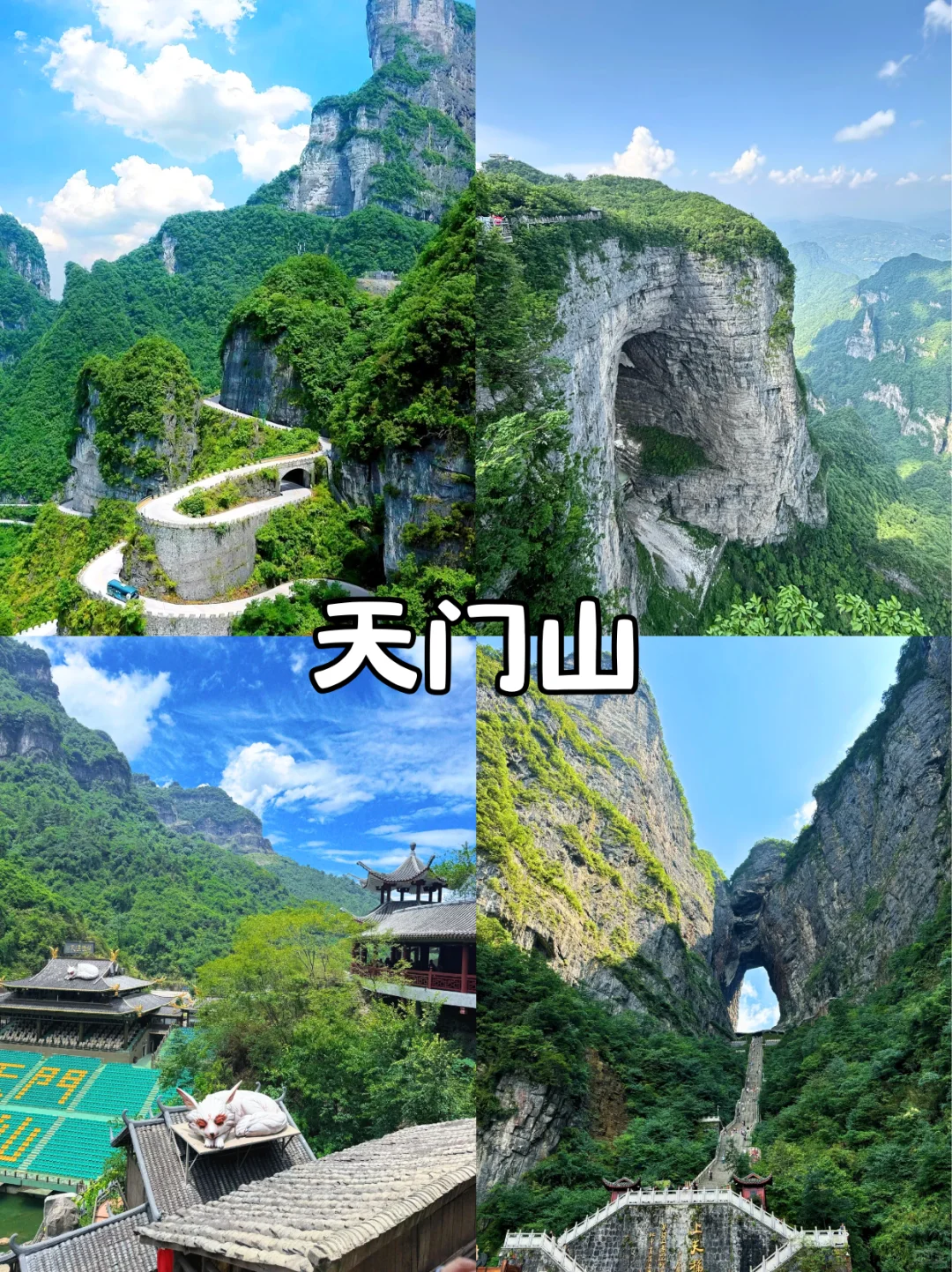 张家界三索一梯，太震撼了！快来快来