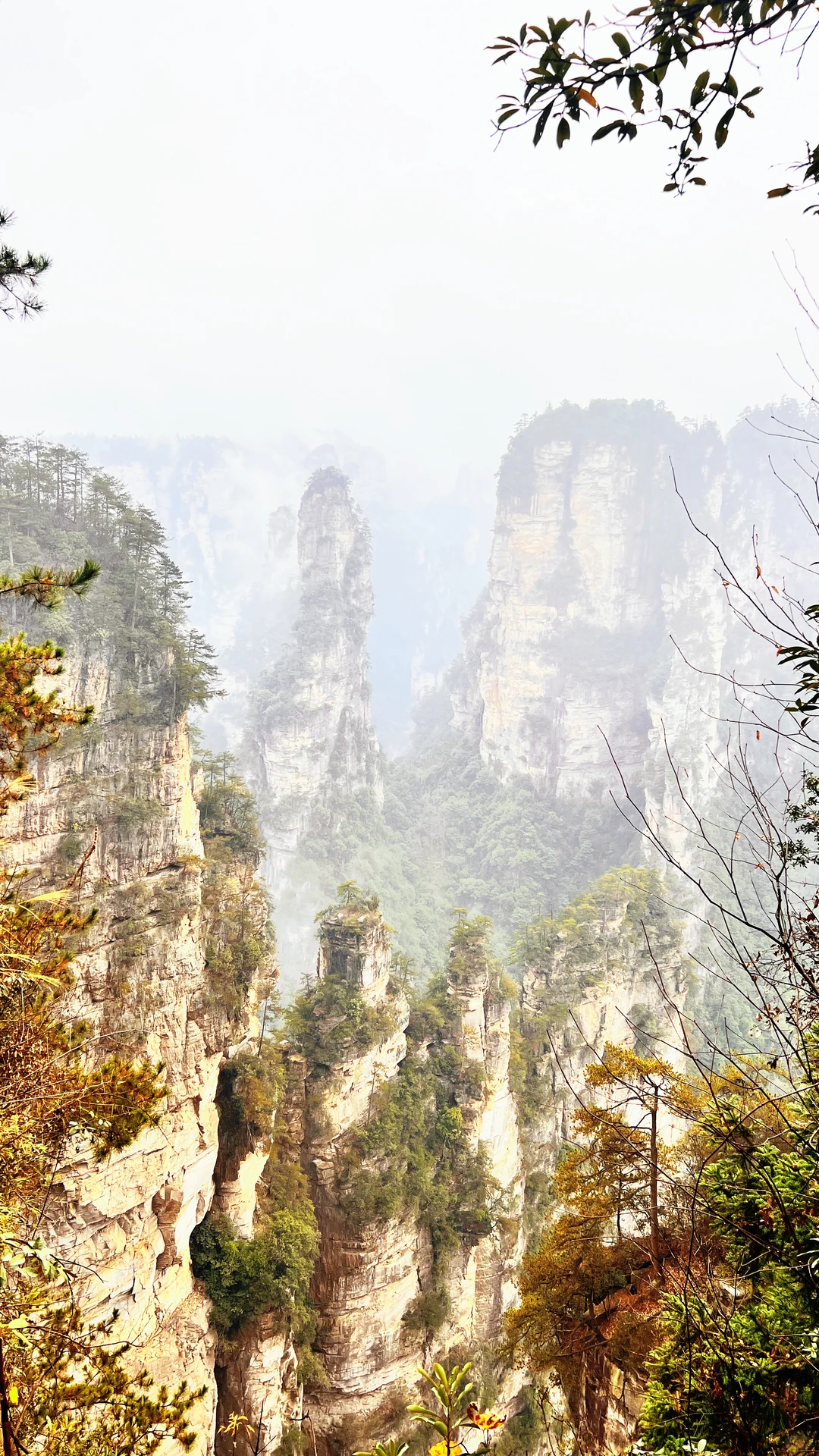 12月份的张家界国家森林公园