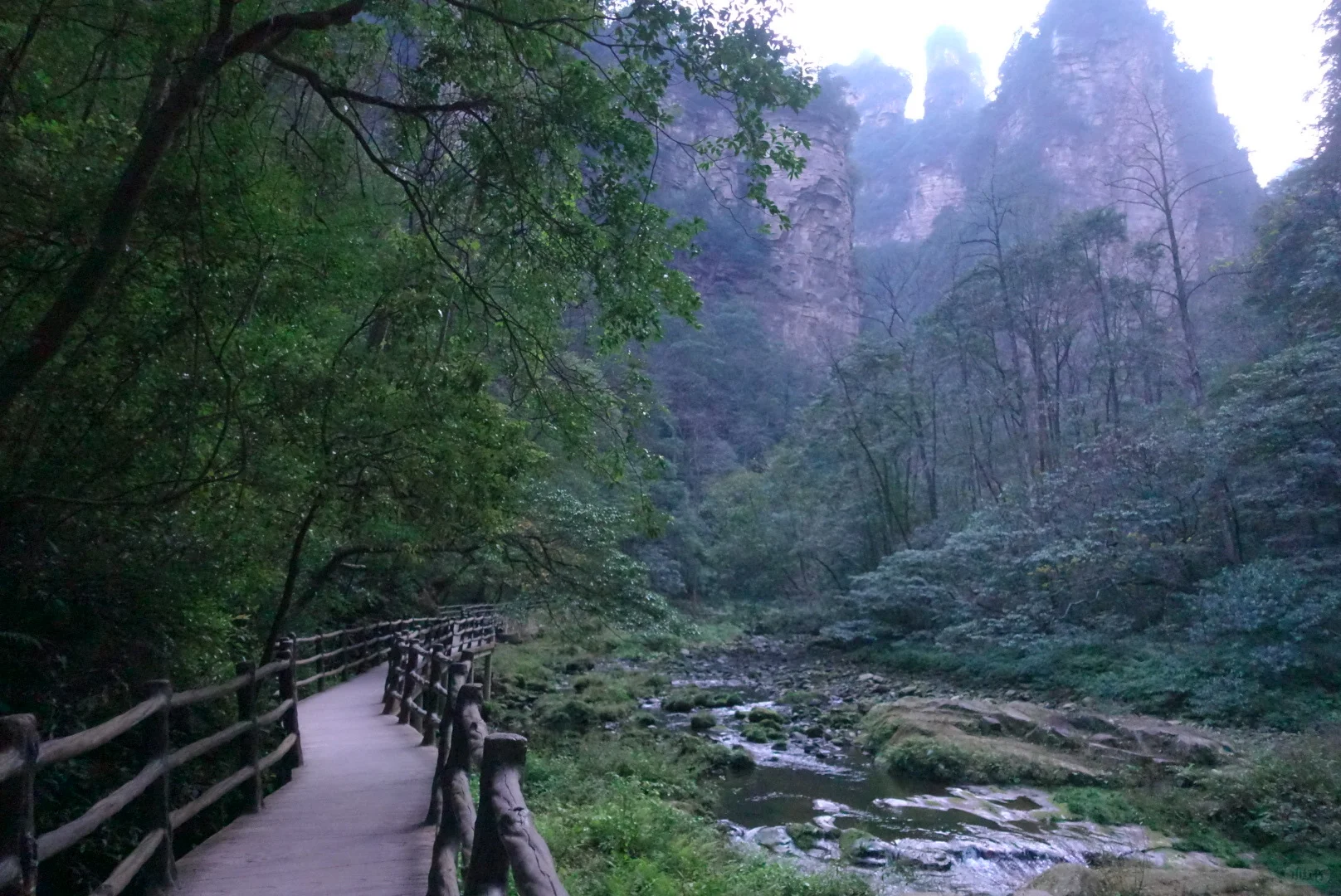 到站张家界第三天