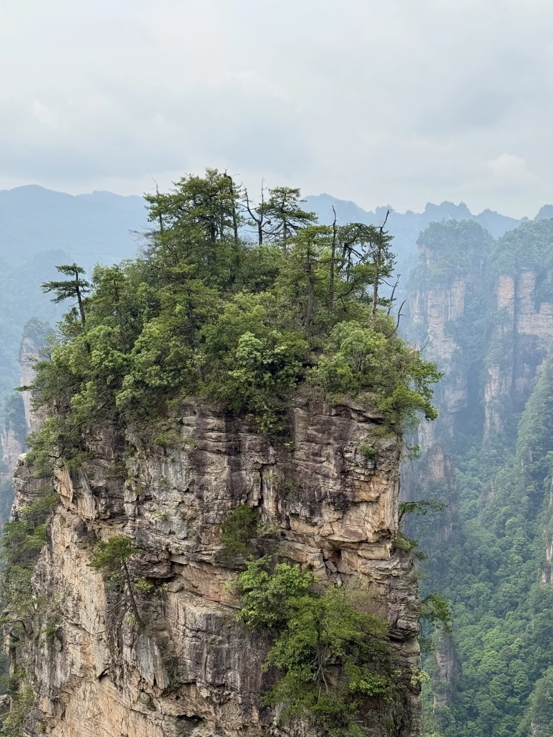 中国张家界国家森林公园～