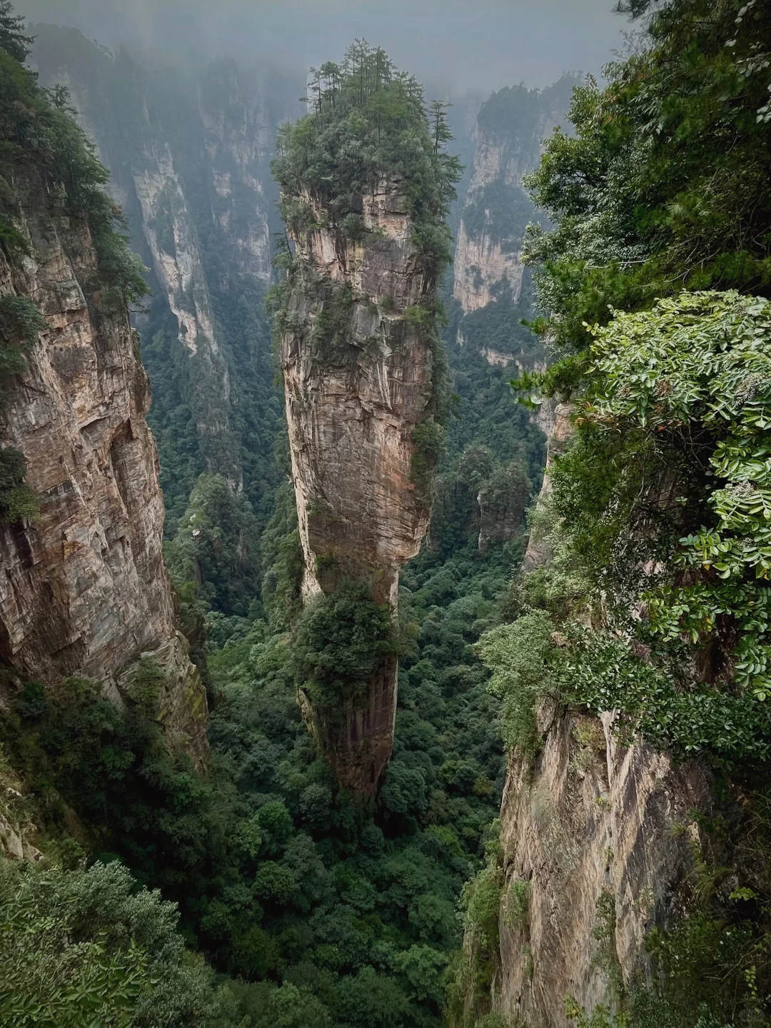 张家界｜大自然的鬼斧神工
