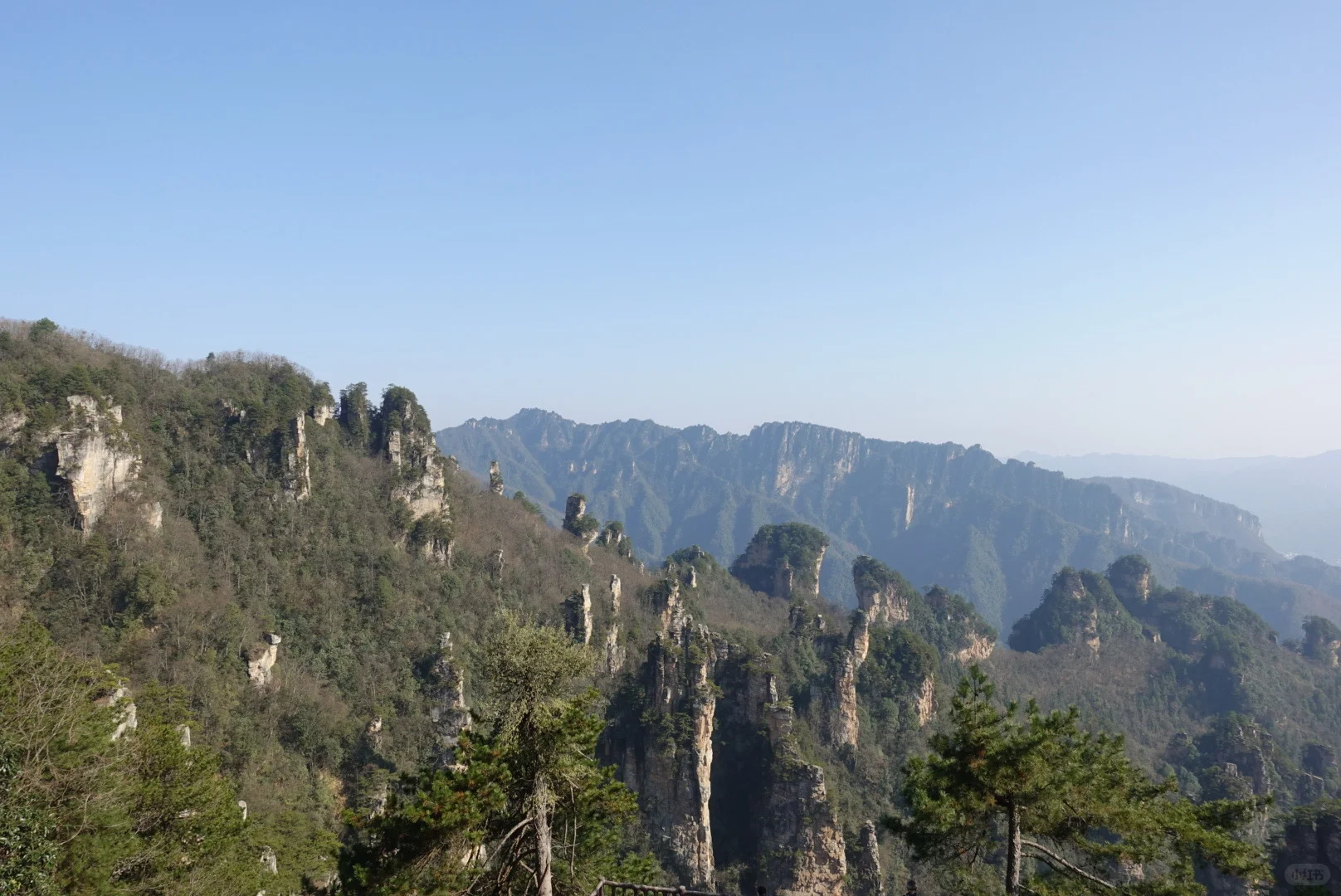 到站张家界第三天