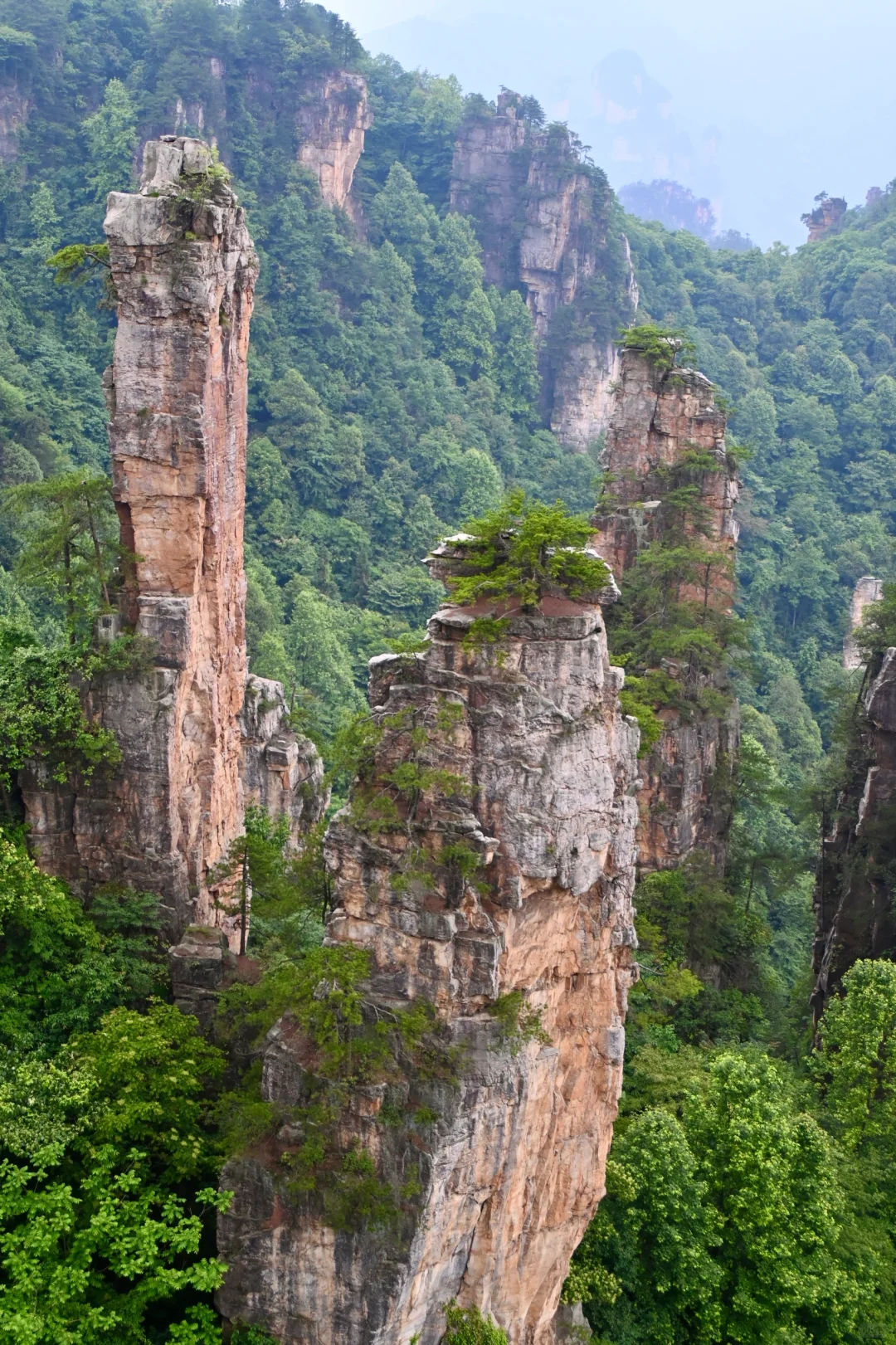 韩国人私藏的中国仙境 张家界