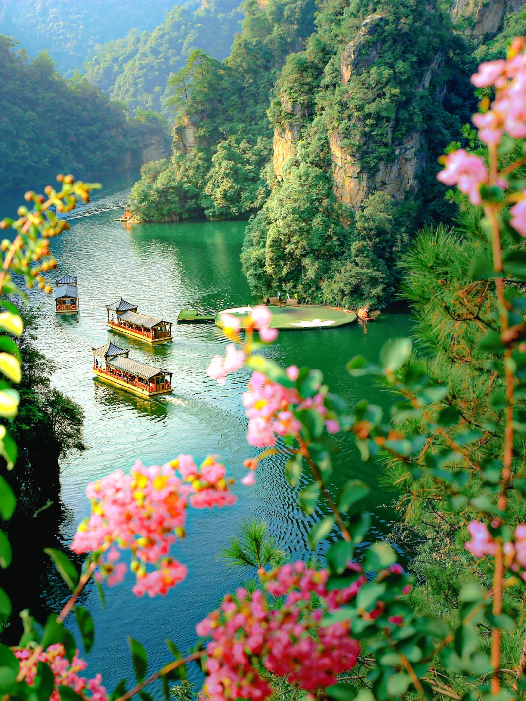 张家界刚回，能劝一个是一个❗坚决不删❗😂